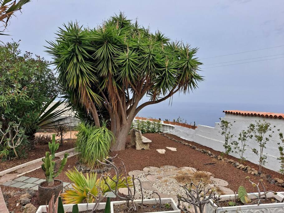 Tenerife Apartment Dulcynea With Terrace And Garden 600M2 With Ocean And Teide View Icod De Los Vinos Εξωτερικό φωτογραφία