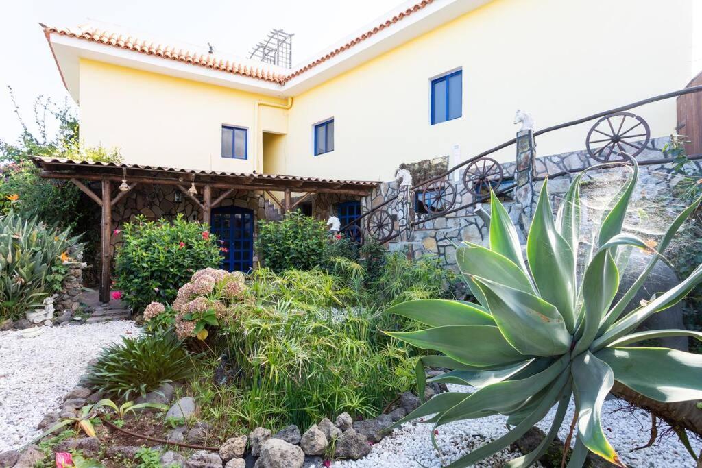 Tenerife Apartment Dulcynea With Terrace And Garden 600M2 With Ocean And Teide View Icod De Los Vinos Εξωτερικό φωτογραφία
