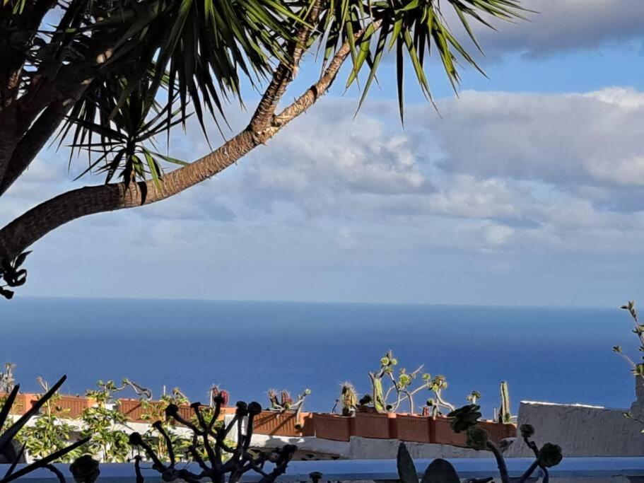 Tenerife Apartment Dulcynea With Terrace And Garden 600M2 With Ocean And Teide View Icod De Los Vinos Εξωτερικό φωτογραφία